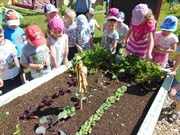 Zahrádka ve školce